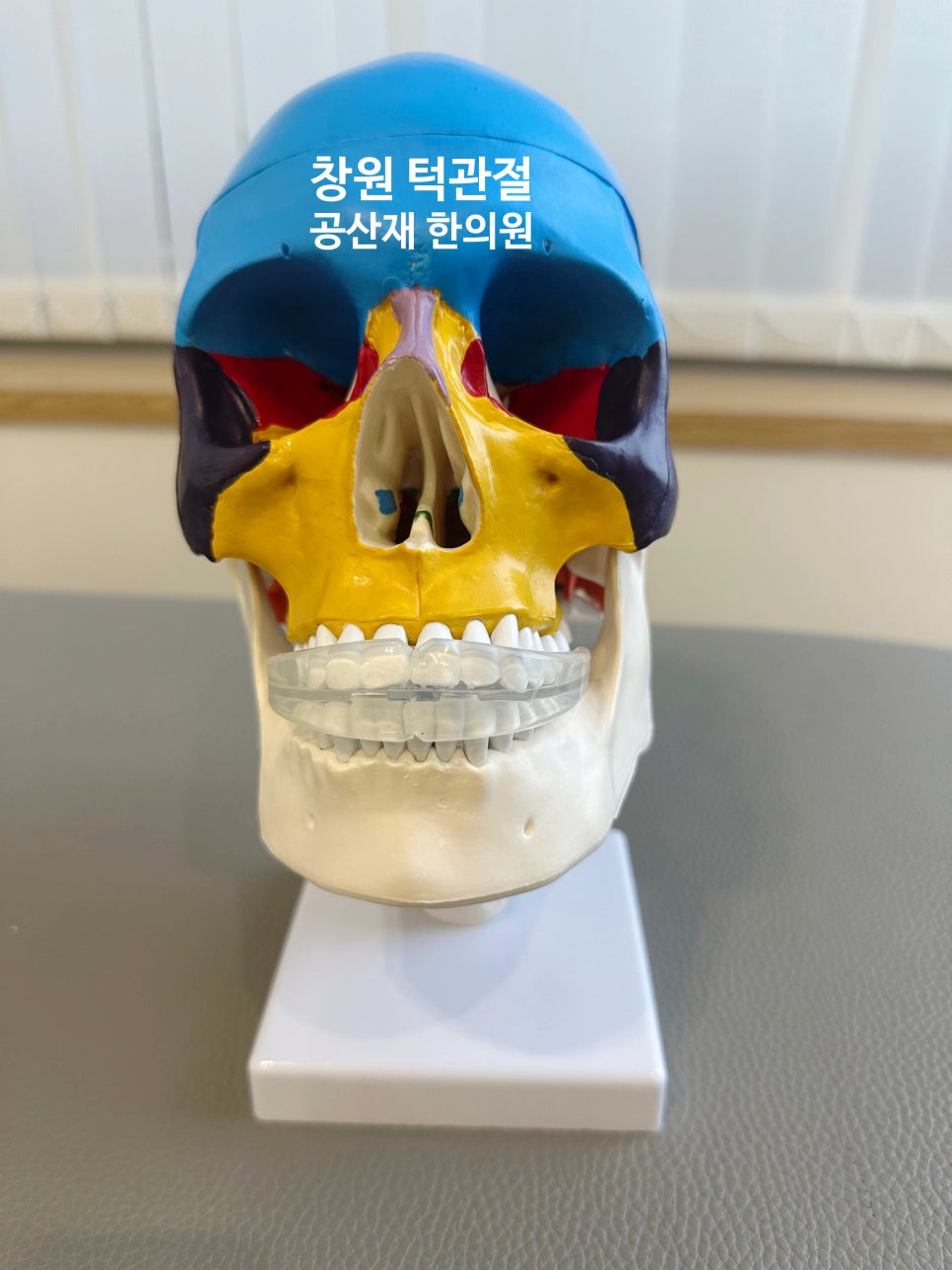 다양한 색으로 칠해진 두개골 모형이 받침대 위에 놓여 있다. 모형 위에는 '창원 턱관절 공산재 한의원'이라는 글자가 적혀 있다.